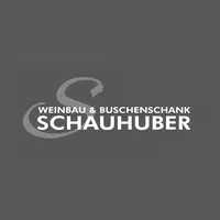 Ernst Schauhuber