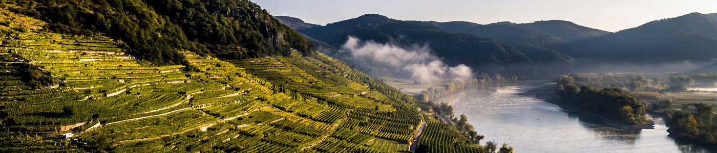 Domäne Wachau