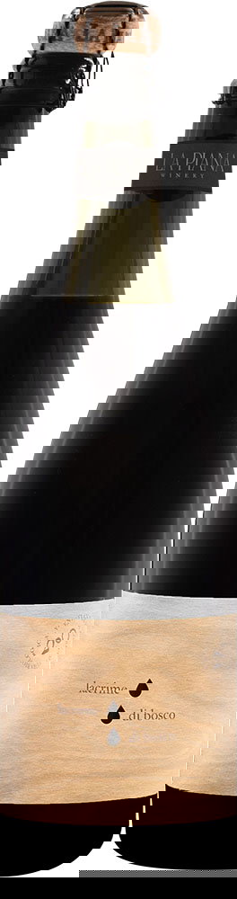 2024 Lacrime di Bosco Lambrusco Grasparossa di Castelvetro DOC BIO