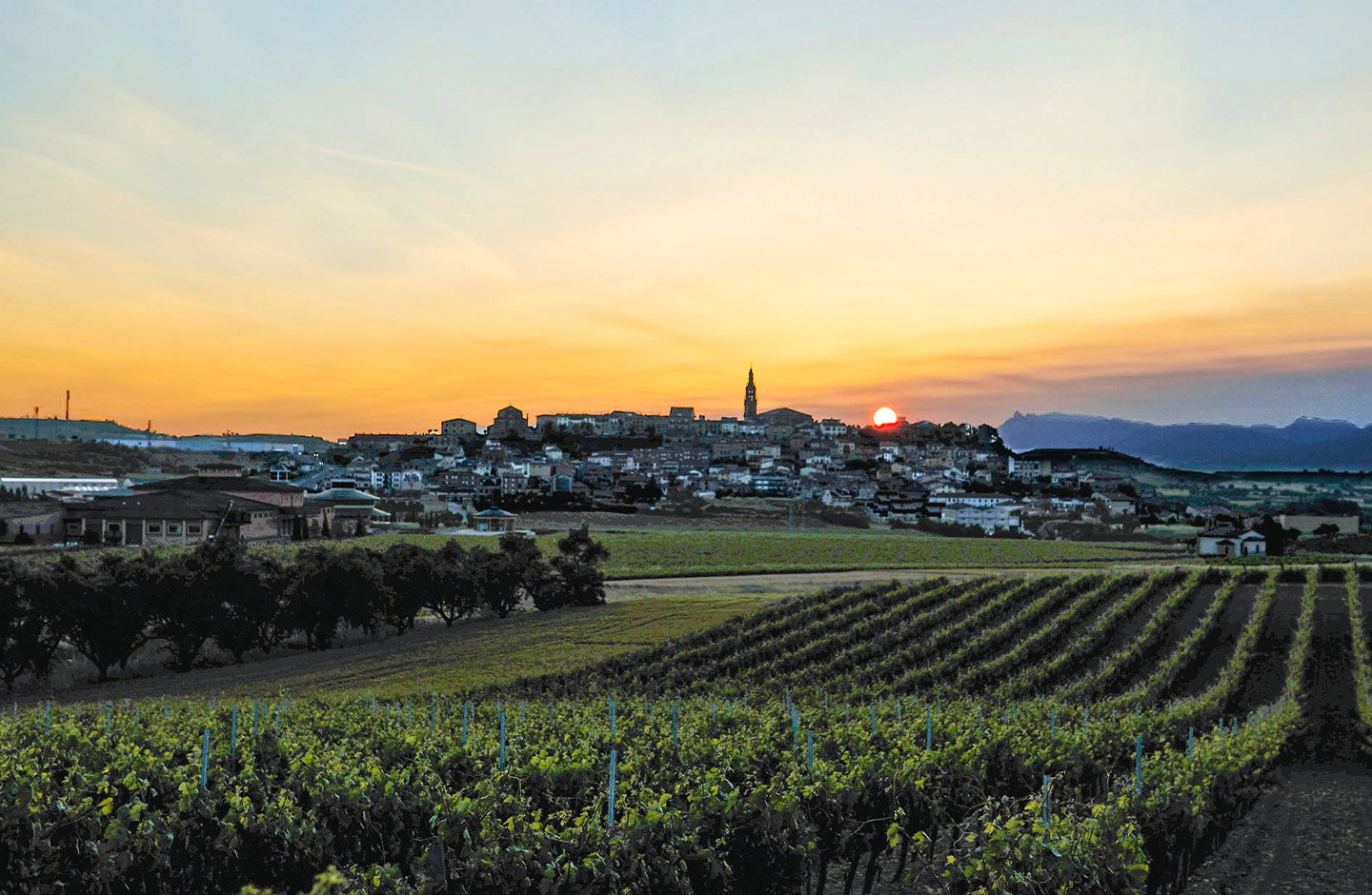 Spannender Chardonnay von Weingut MAD