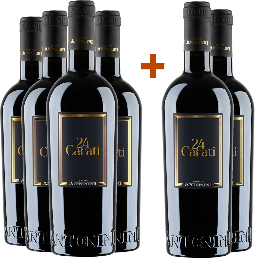 4+2 Paket 24 Carati Rosso