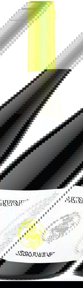 2024 Coda di Volpe Irpinia DOC