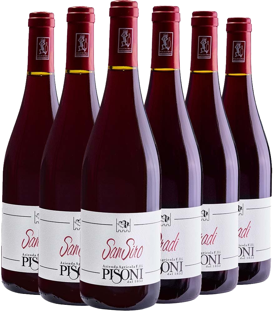 Pisoni Trentino Kennenlern-Paket BIO