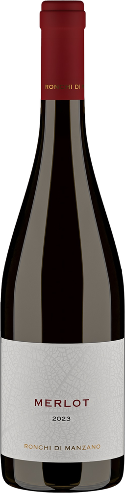 2023 Merlot Friuli Colli orientali DOC reflection