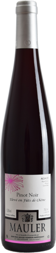 2023 Pinot Noir Fût de Chêne Alsace AOP