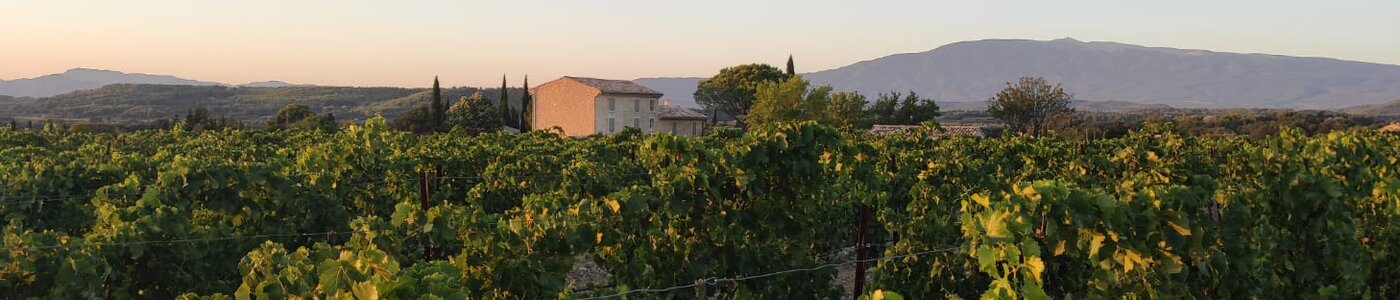 Domaine du Chat Blanc