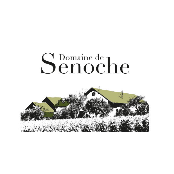 Domaine de Senoche